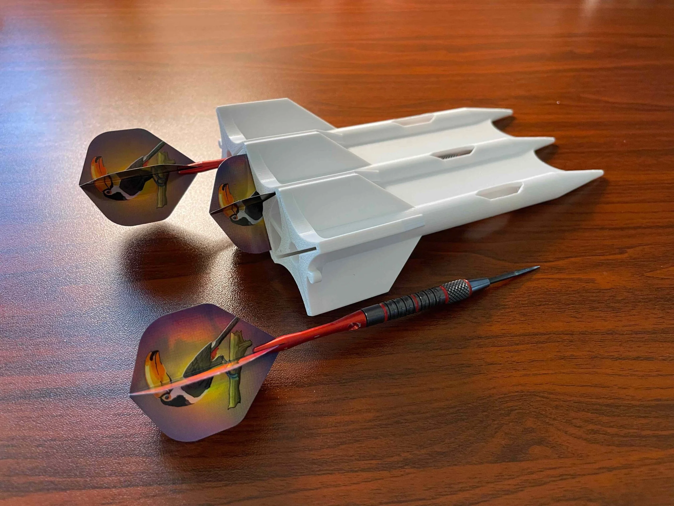 Dart Case